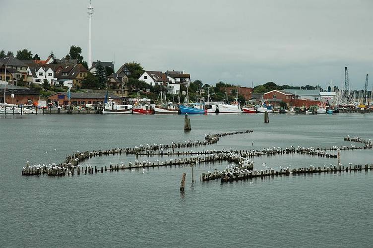 Der historische Heringszaun in Kappeln