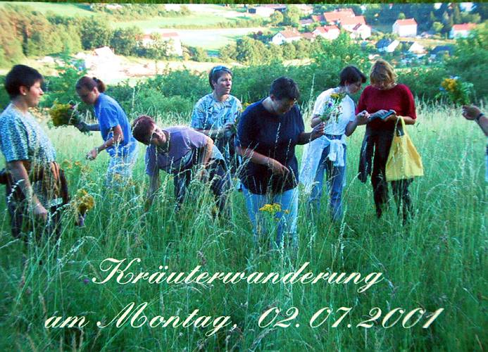 Der Bastelkreis bei einer Kr�uterwanderung