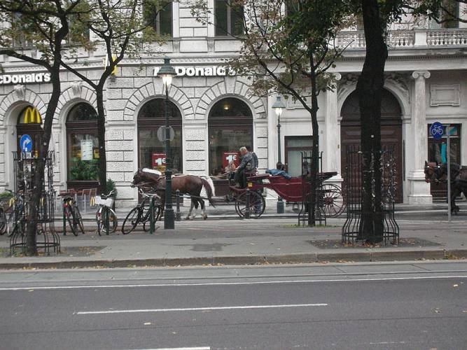 wien 2007 080